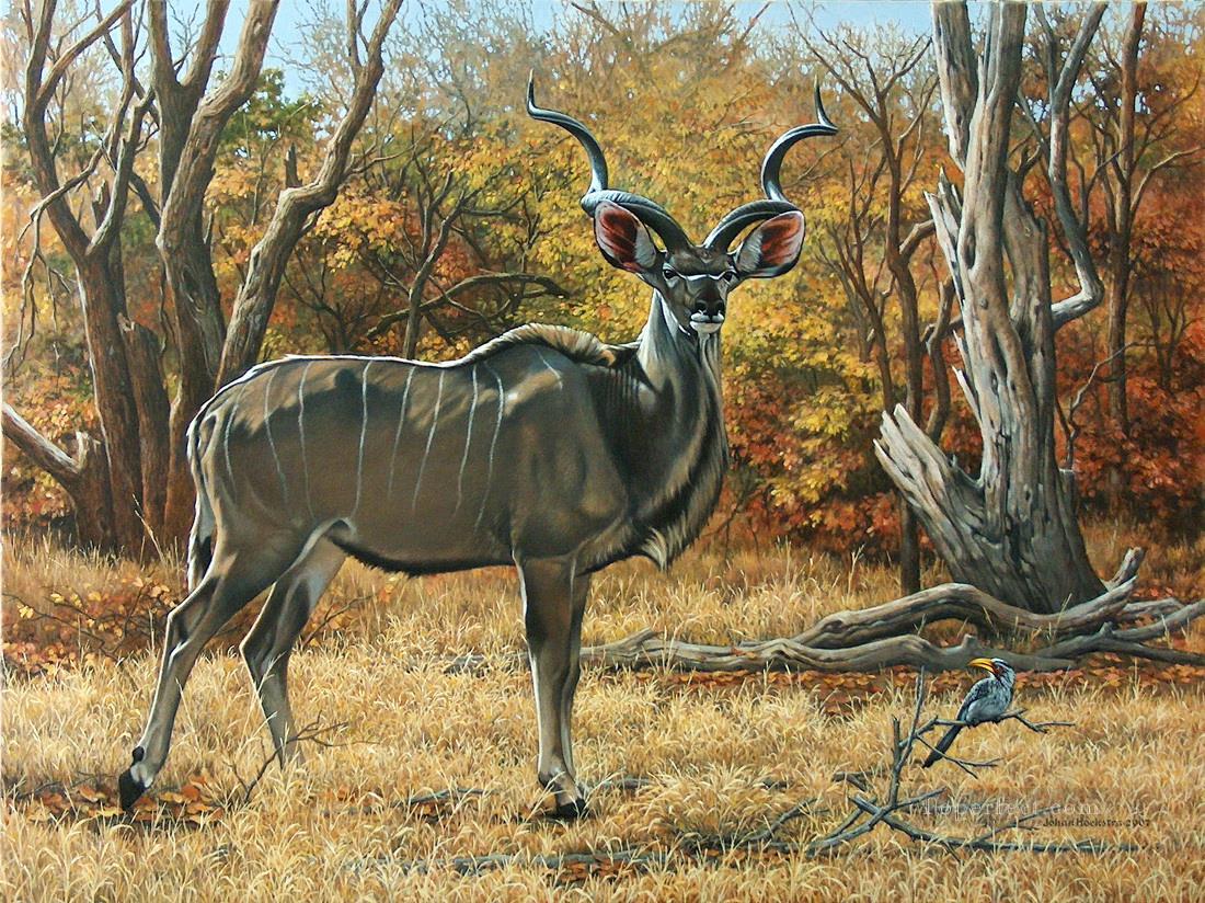 Hirsch Kudu Stier Ölgemälde